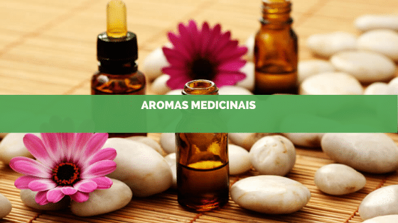 Aromaterapia: Aromas para causas medicinais