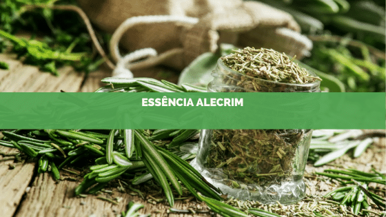 Benefícios essência de Alecrim