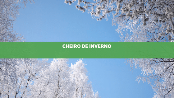 Essência de inverno: Qual aromatização usar?