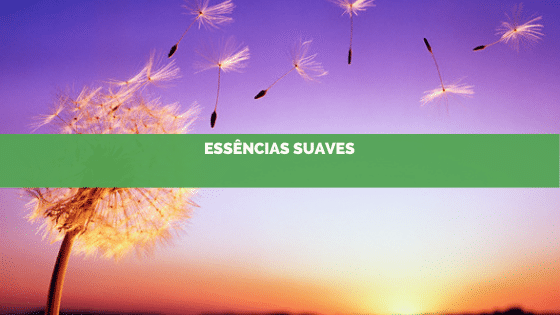 Essência suave e refrescante para a sua aromatização em dias quentes