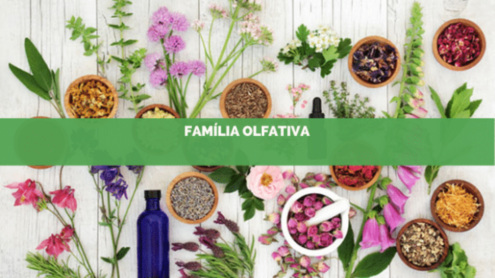 família olfativa