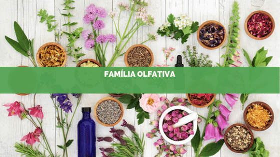 Você sabe qual a família olfativa faz o seu tipo?