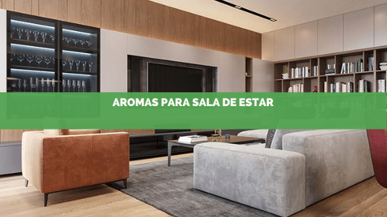 Três aromas ideais para utilizar na sua sala de estar