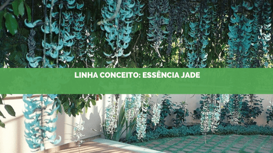 Linha Conceito 2019: Essência Jade