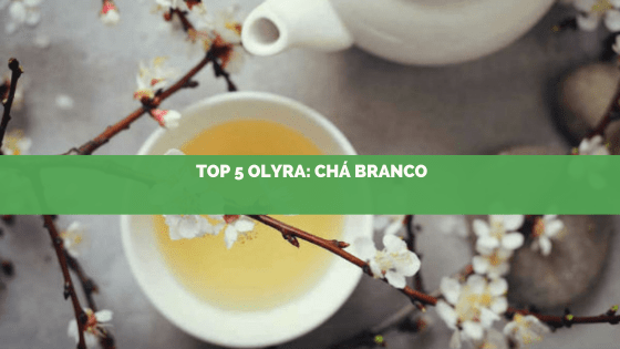 Top 5: essências mais pedidas na Olyra