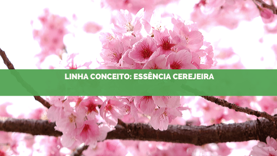 Linha conceito 2019: essência cerejeira
