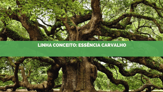 Linha conceito 2019: essência carvalho