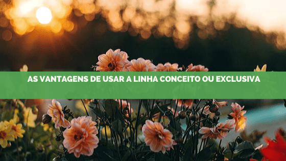 A vantagem de usar uma essência exclusiva ou conceito