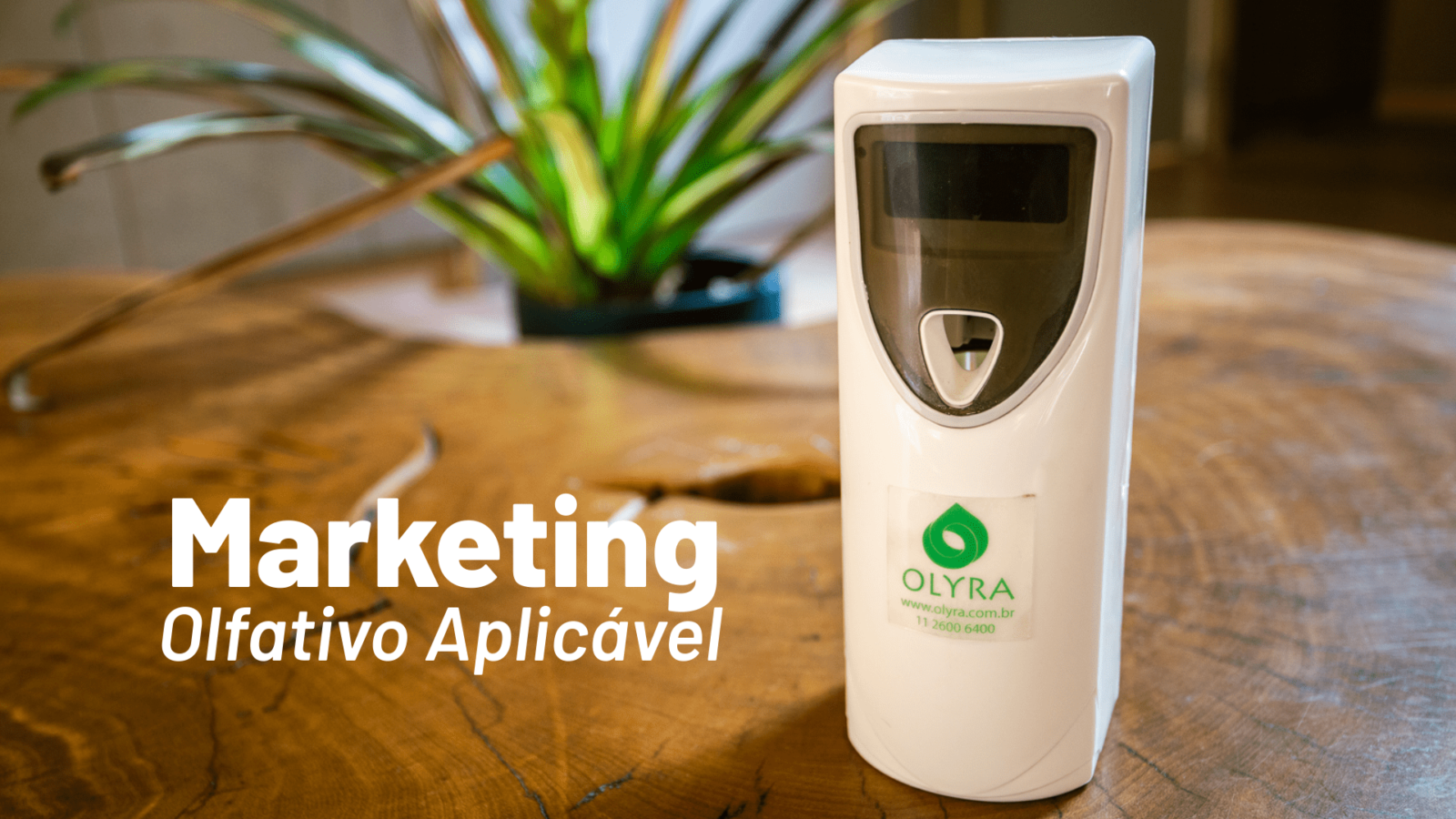 Marketing Olfativo Aplicável