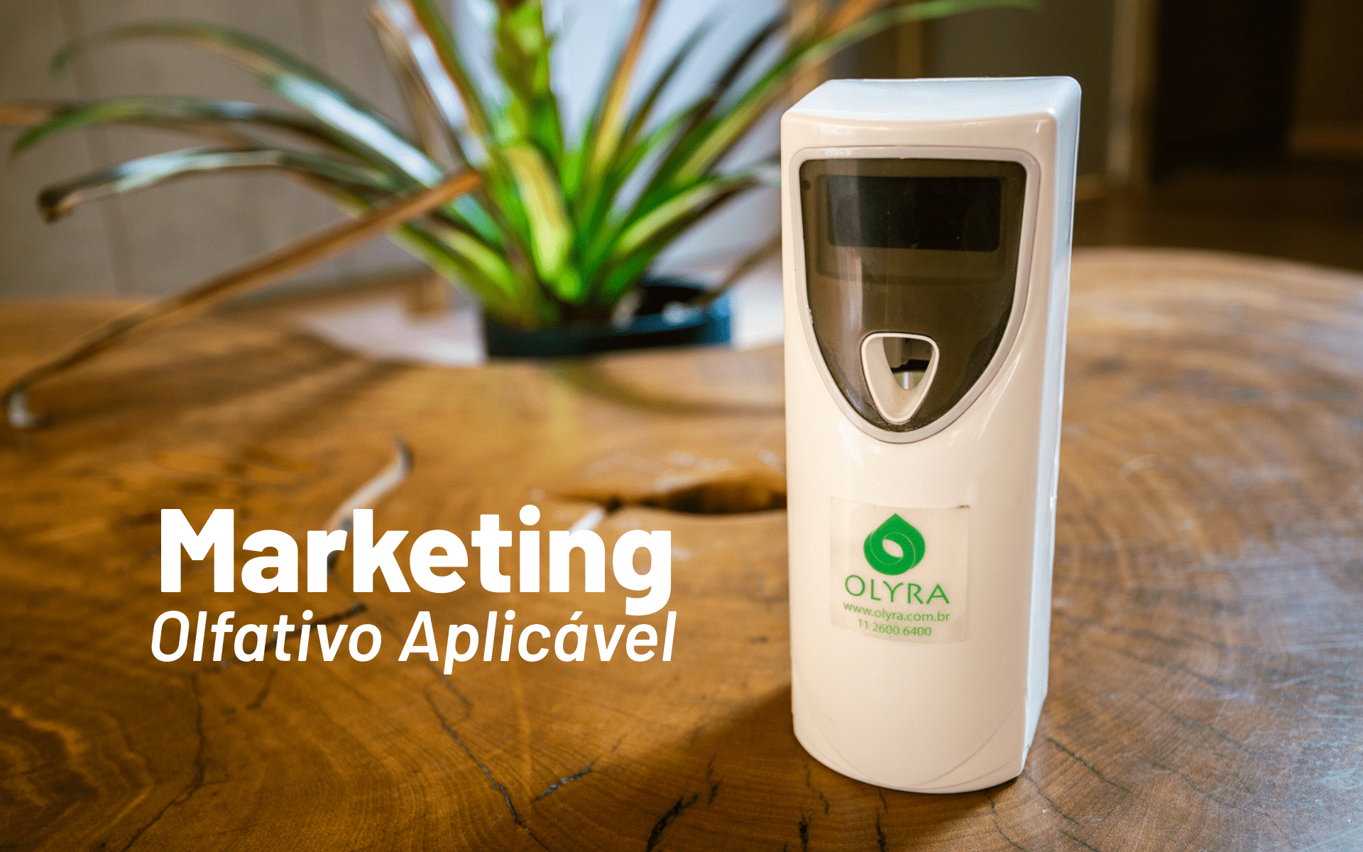 Marketing Olfativo Aplicável: ambiente aromatizado e com a sua personalidade