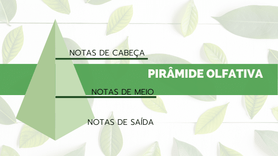 A mágica da pirâmide olfativa: Como é produzida uma boa fragrância